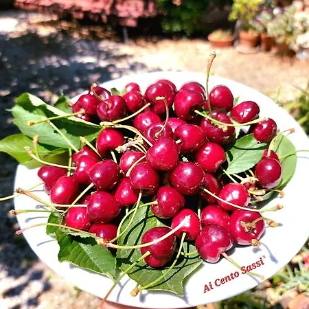 Trullo Ai Cento Sassi Εξοχικό σπίτι