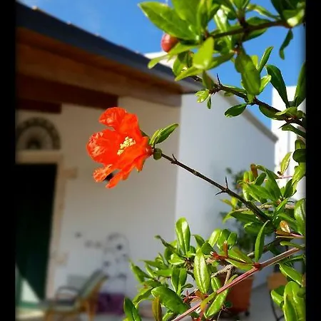 Trullo Ai Cento Sassi Country house *